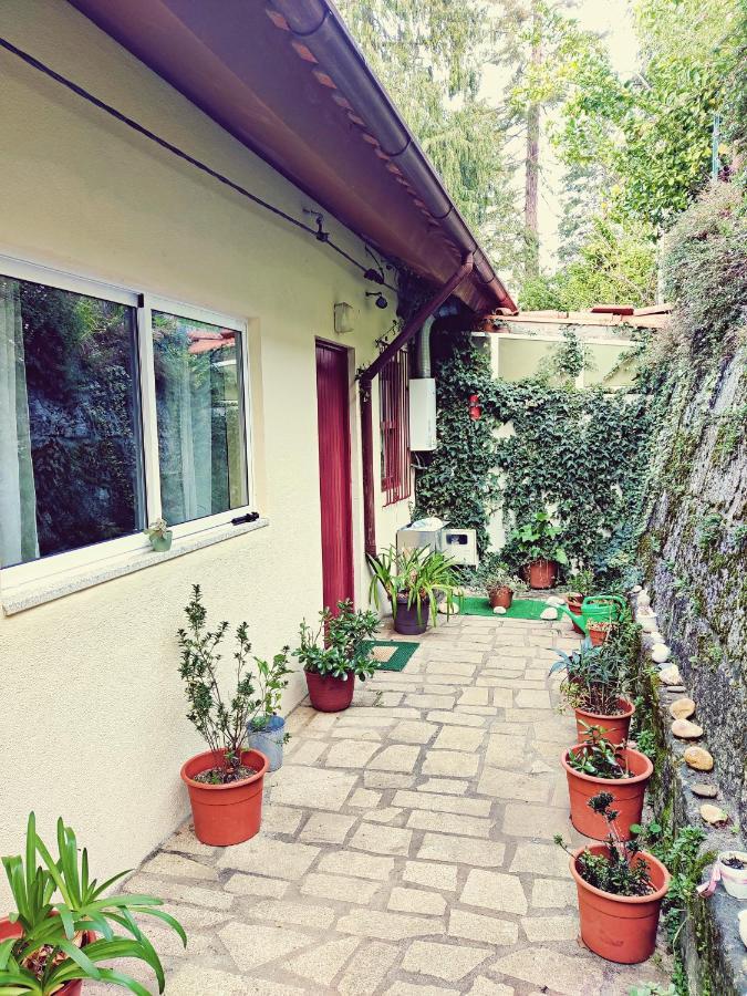 Monteiro'S Geres Countryhouse Ferral Εξωτερικό φωτογραφία